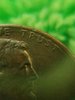 20170205_233041.jpg