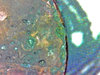 S20170212_0002.jpg