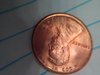 IMG_20170215_165807.jpg