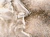 WIN_20170217_10_28_38_Pro.jpg