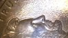 20170220_114444.jpg