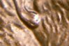 21997-2.jpg
