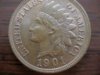 1901 Cent-Obv2.jpg