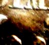 HalfdimeS - Pic44.jpg
