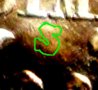 HalfdimeS - Pic45.jpg