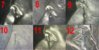 eye collage 7-12.jpg