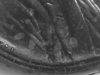 LP-2 coin#1 BW#6.jpg