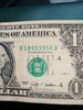 IMG_20170301_104231.jpg