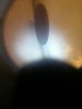 COOCENT_20170301_223540.jpg