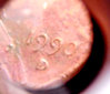 DSCN2731hicontrast.JPG