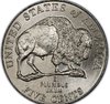 2005 Speared Bison.JPG