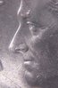 DSCN2933 face raised cuds small.jpg