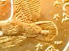 17161029_10212610232031268_1346057573_n.jpg