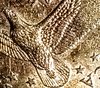 17204474_10212610163629558_1865560850_n.jpg