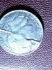 17160945_10212611559064443_1265168750_n.jpg