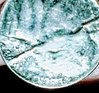 17204174_10212611556944390_142978480_n.jpg
