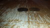 20170308_062855.jpg