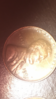 IMG_0208.PNG