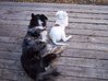 100_5755.JPG