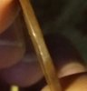 20170315_184848-1.jpg