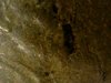 Thu Mar 16 21-04-40.jpg