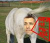 kaufman-horses-ass-2.jpg