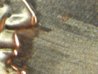 LP-2+ Spiked nose #2 found.jpg