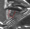 Cropped finger on LP-2-2.JPG