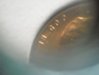 DSCN0652.jpg