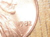 RSCN0703.JPG