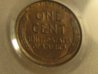 1920 S MS 64 BN PCGS (15).jpg