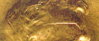 1955 s penny cracked skull.jpg