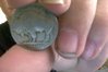 Photo on 3-23-17 at 5.20 PM #2.jpg