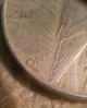 20170402_145621-1.jpg