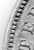 reverse 4-3006 dentriles.jpg