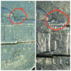 PhotoGrid_1491832806498.png
