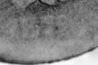 01  ind 1c 1870 or 73 indain cent  date.jpg