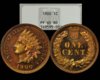 1900 NGC PF65 RD.jpg