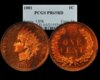 1881 PCGS PF65 RD.jpg