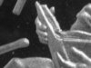PR-69 LP-2 6th finger.jpg