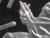 PR-69 LP-2 6th finger with edits.JPG