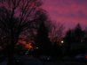 RED SKY #1 040109.jpg