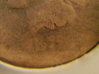 1870 indain cent obv croped.jpg