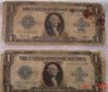 silver dollar 3.jpg