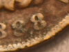 RSCN3056.JPG