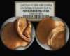 19xx NGC MS65 RB Off Center Triple Clip Error .jpg