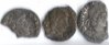 Siliquae O.jpg