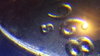 DSCF1982.JPG
