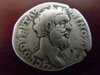 Albinus.JPG