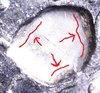 Lake Huron Crater Quater Closeup2.JPG